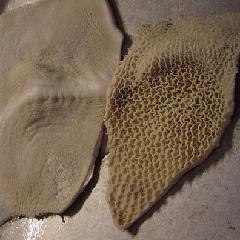 供应清真冷冻牛肉冷冻羊脖子冷冻牛板筋冷冻牛腱