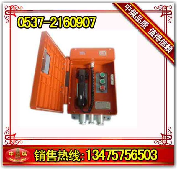 热销MDE/X9611智能型防爆扩音电话站 