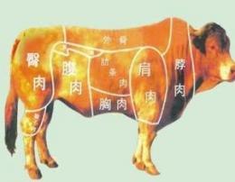 冷冻牛菲力牛肩肉批发