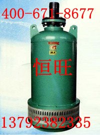 供应BQS(W) 排污泵BQW22kw排沙泵潜水泵电泵