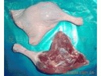 大理冷冻鸭边腿整鸭鸭翅批发