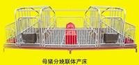 限位栏/专业提供限位栏/优质限位栏价格/河南优质限位栏/限位栏制造商
