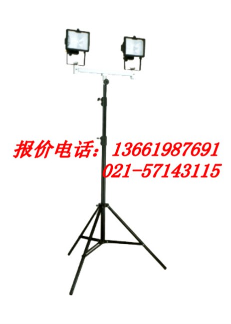 供应GAD513升降照明装置.GAD513-2*500W
