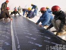 供应三水防水补漏|三水防水补漏公司