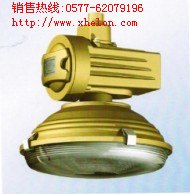 供应SBD1105免维护节能防爆灯