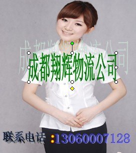 供应成都到山东莱芜货运公司 物流专线