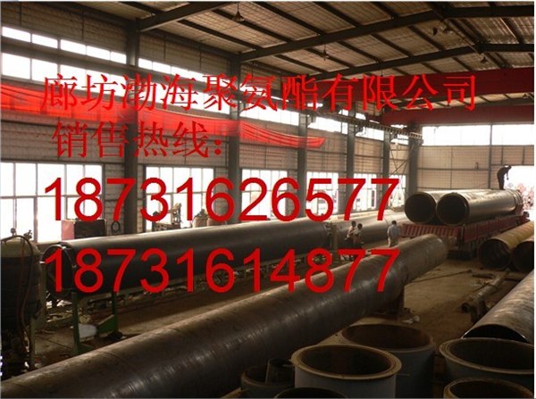 供应聚氨酯发泡保温管 酒泉聚氨酯发泡保温管 聚氨酯发泡保温管厂家