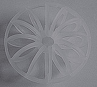供应塑料花环 聚丙烯花环 pp花环