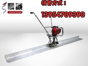 供应济宁鼎诚汽油机振动尺