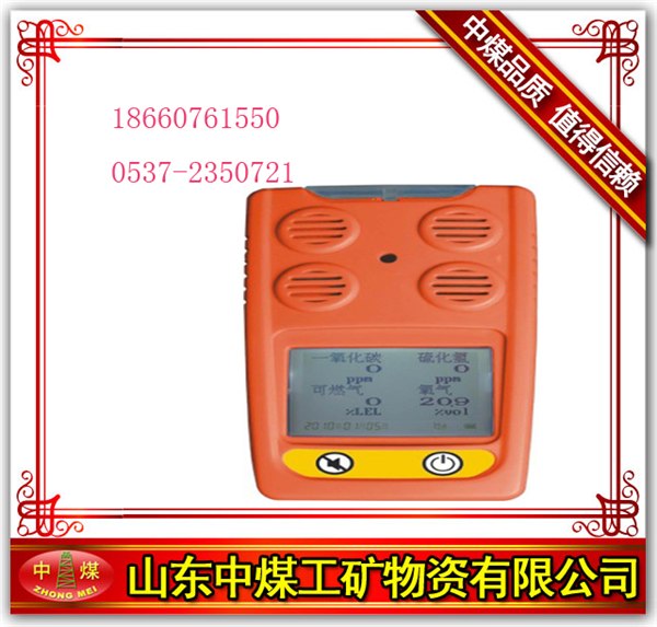 供应PG610系列便携式气体检测报警仪