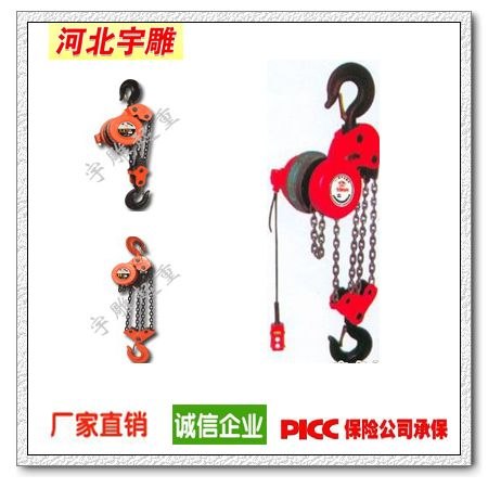 DHP群控环链电动葫芦速度平稳且同步
