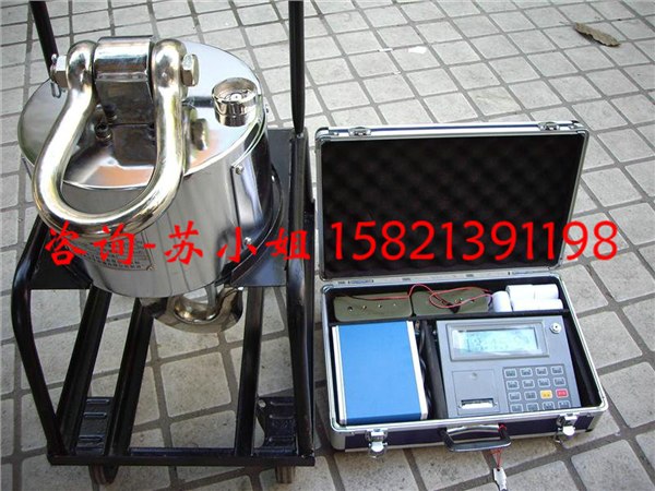 供应上海20吨吊秤，上海30吨吊秤，上海50吨吊秤