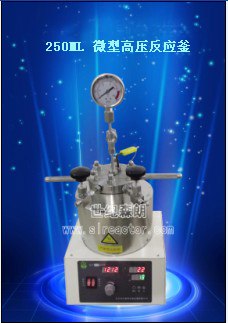 供应250ml微型高压反应釜