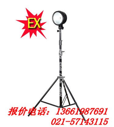 供应DGY100A系列便携式升降防爆灯，RJW7101,BTC8210上海制造
