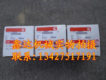供应康明斯QSB3.3活塞组4089967