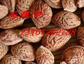 大国槐/全冠国槐/山西国槐/全冠国槐/国槐价格/平头国槐