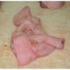 供应美国进口冷冻猪头肉猪口条猪心猪肘猪鞭一级