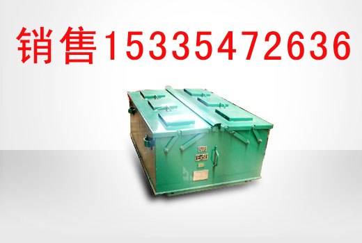 供应投资相对少DXT96防爆特殊型电源装置服务到位