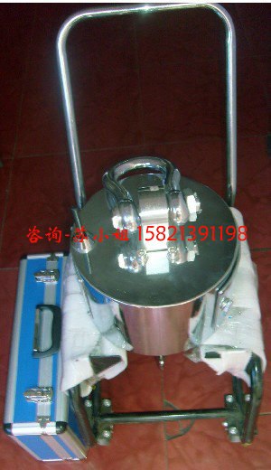 供应新疆15吨无线带打印吊钩称