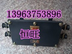供应专产矿用防爆通信接线盒厂家