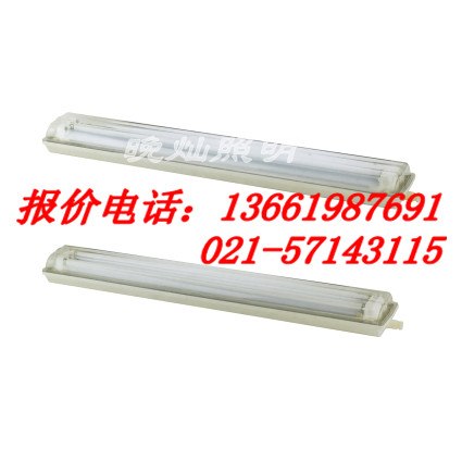 供应GFD6010全塑荧光灯，NSC9700,BPC8700