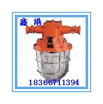 低价热销 白炽灯 矿用隔爆型 