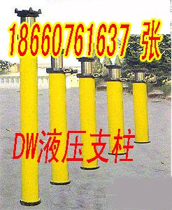 供应DW单体支柱