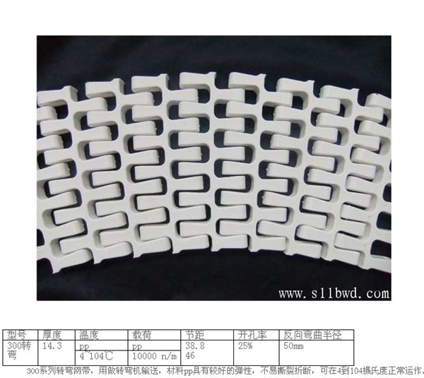 供应专业塑料网带