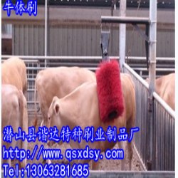 厂家直销牛体刷