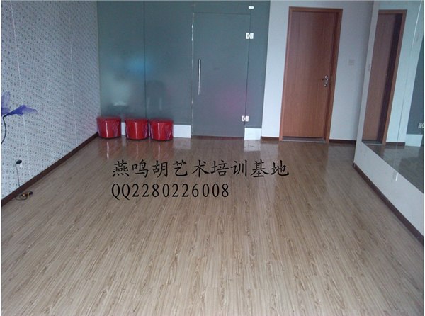 供应郑州酒吧歌手培训班|郑州唱歌培训班【燕鸣胡】