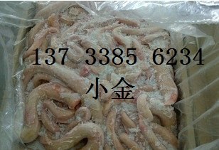供应进口牛鞭价格