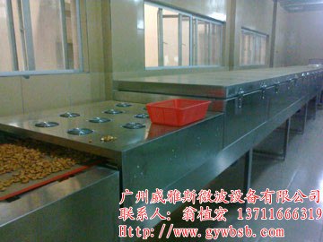 供应微波槟榔烘烤膨化机