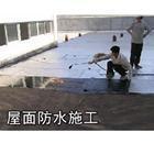 供应北京专业防水补漏 专业屋面防水堵漏