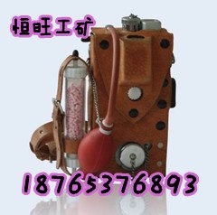 供应CJG10甲烷测定仪CJG100型光干涉测定仪