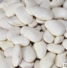 供应红腰豆批发