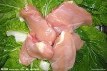 供应鸡肉          