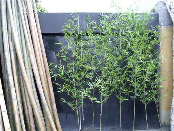 供应常青藤加工工厂制作仿真竹子 假竹子 仿真竹子案例批发零售