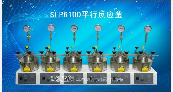 供应上海高压釜/SLP6100平行反应器/上海多联反应釜