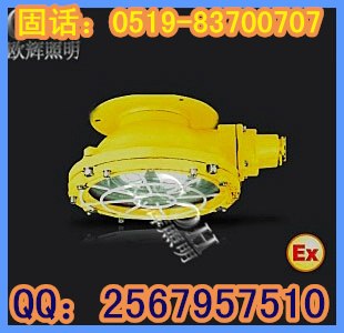 供应防爆顶灯，防爆顶灯，防爆吸顶灯