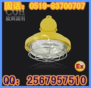 供应防爆吸顶荧光灯，防爆荧光灯
