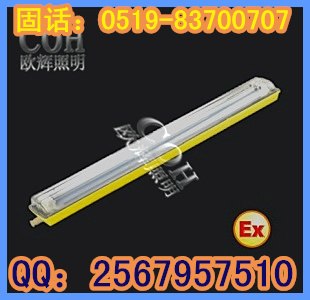 供应粉尘防爆防腐单管荧光灯，防爆防腐荧光灯