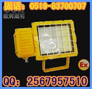 供应防爆泛光灯，一体式防爆泛光灯，一体式防爆灯