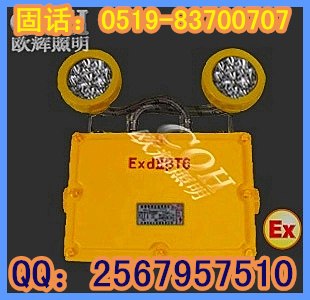 供应LED双头防爆应急灯，LED防爆应急灯
