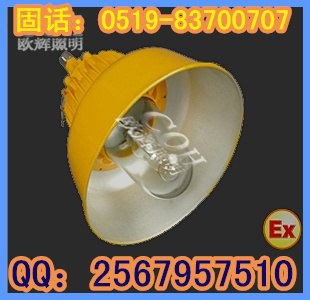 供应防爆投光灯，防爆道路灯