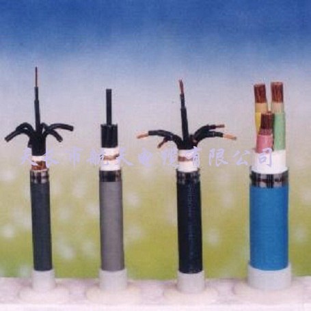 供应核电站用K3类电缆