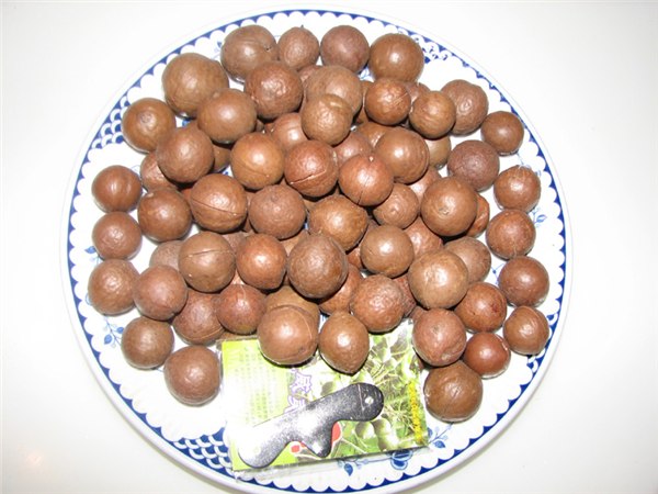 供应夏威夷果批发批发