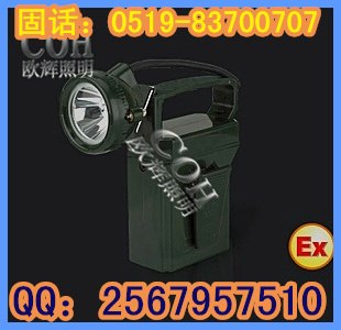 供应防爆工作灯，便携式防爆工作灯 