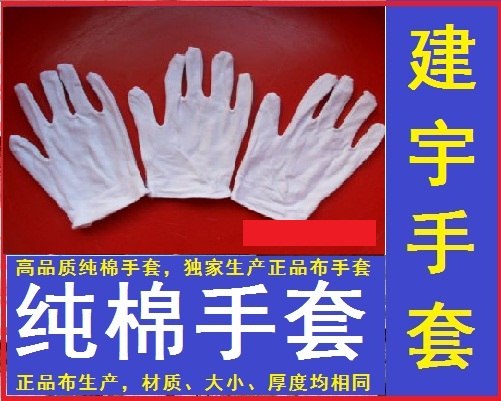 供应纯棉手套（建宇手套厂）