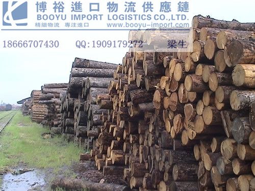 进口越柬|大果紫檀进口报关流程