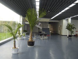 成都橡胶地板/四川橡胶地板